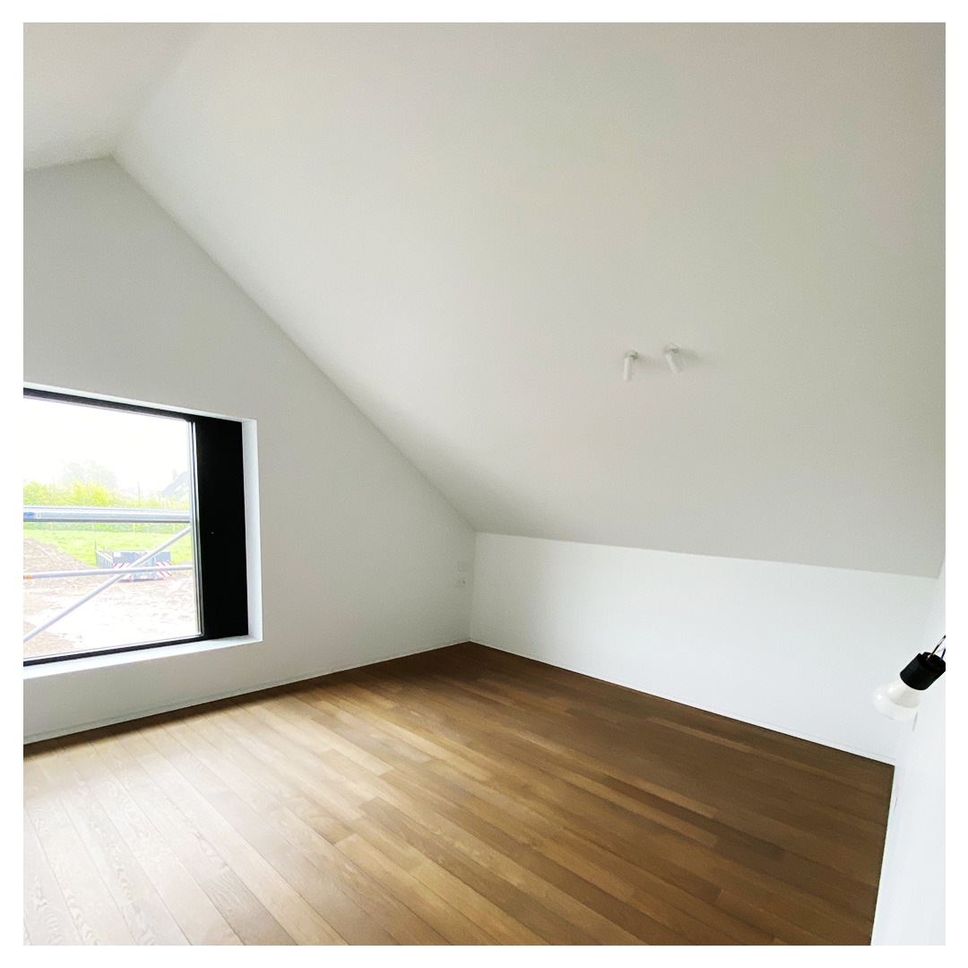 Professionele schilderwerken